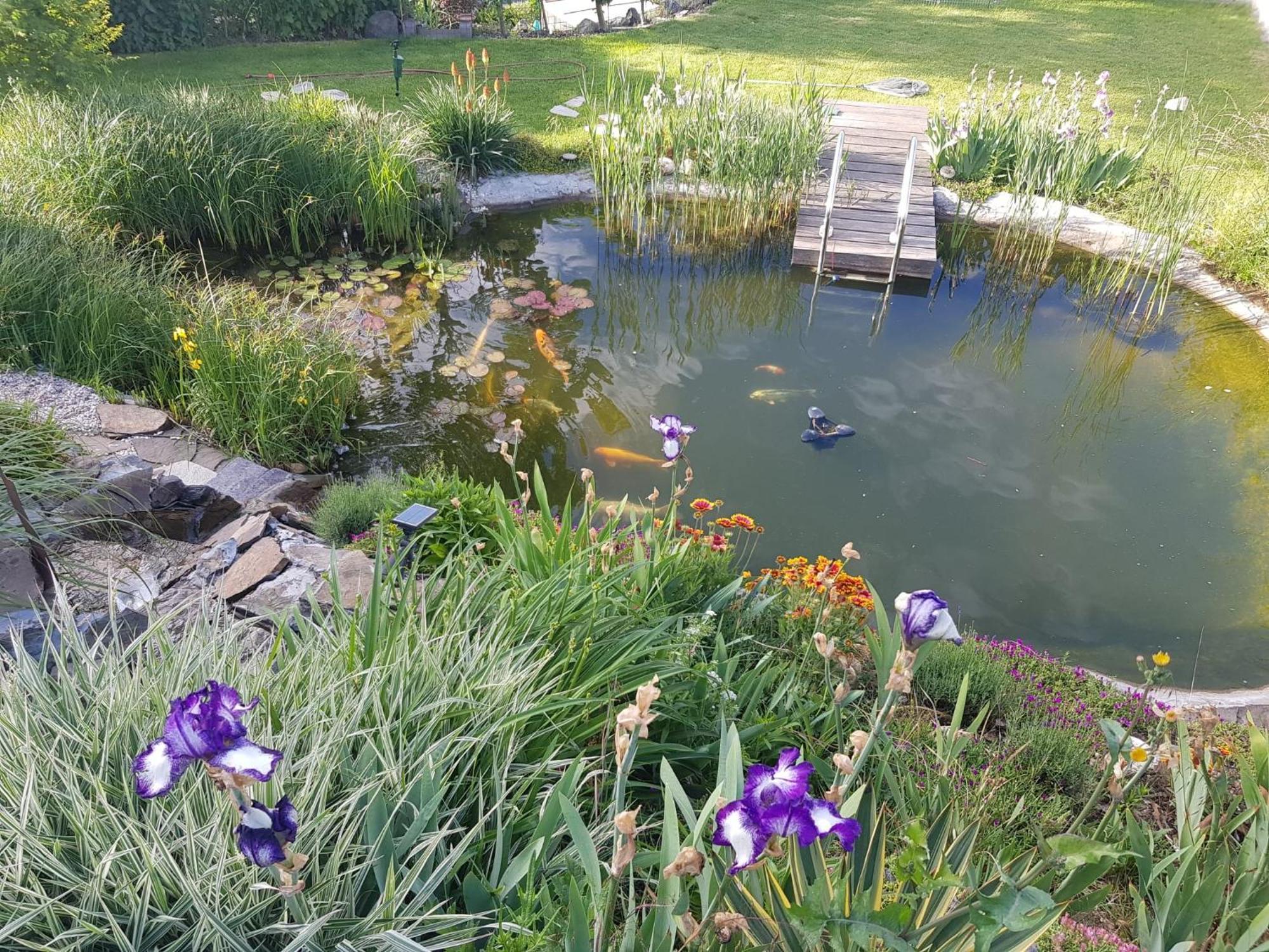 Wohlfuehlen Am Gartenteich Oberzissen Bagian luar foto